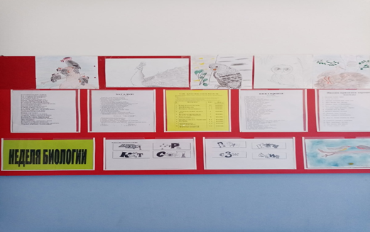 С 04.04 по 15.04.22г. в школе проходила предметная неделя биологии (Фалалеева Л.А.).
